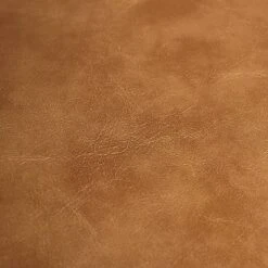 2pc Edler Dining Chairs - Linon -Linon GUEST 29ca923d ac71 4417 802b 4281a3a46f11